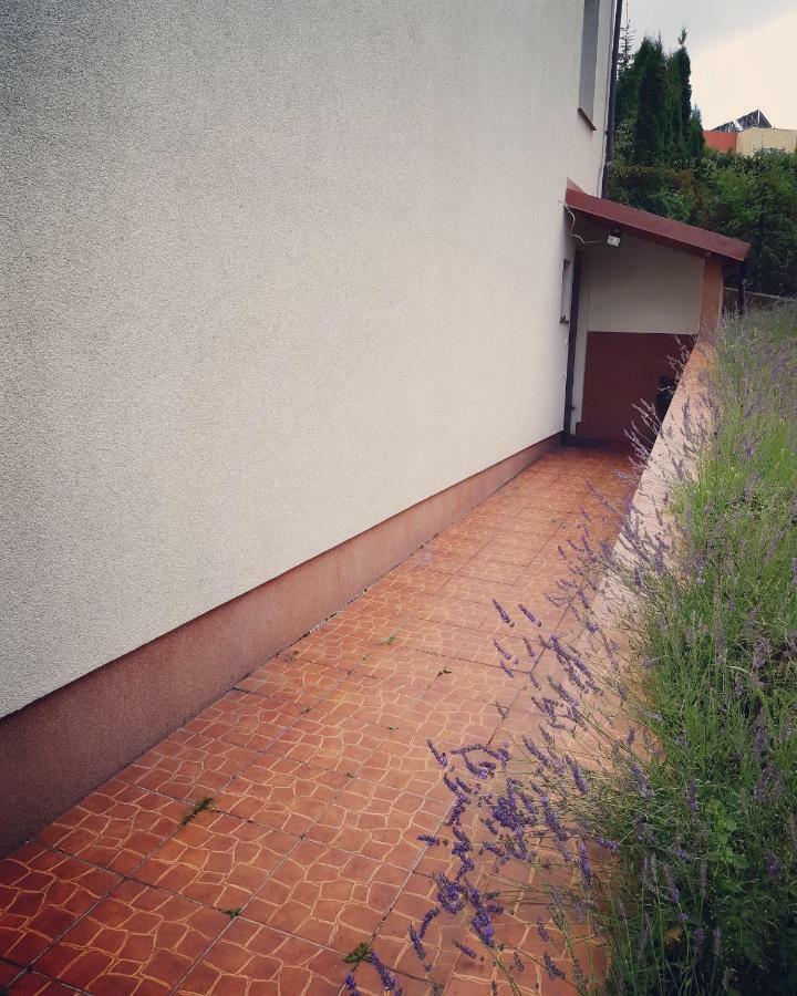 דירות אולז'טין Apartament Studencki No 3 מראה חיצוני תמונה